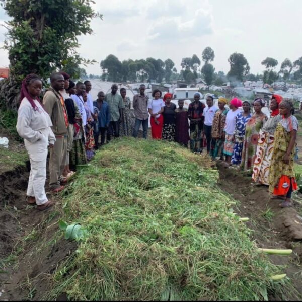 INSTALLATION DE GERMOIR DE CHOUX, DISTRIBUTION DES OUTILS ARATOIRES ET SEMIS DES AMARANTES DANS LE CAMPS DES DÉPLACÉS DE SHABINDU KASHAKA.